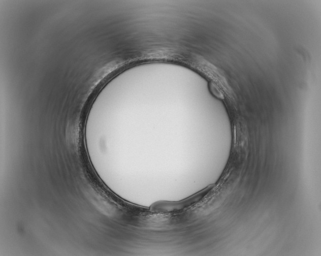 X0000110980156200907171738