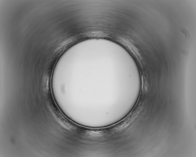 X0000110980157200907171738