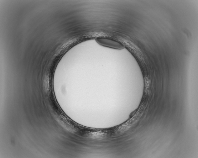 X0000110980158200907171738