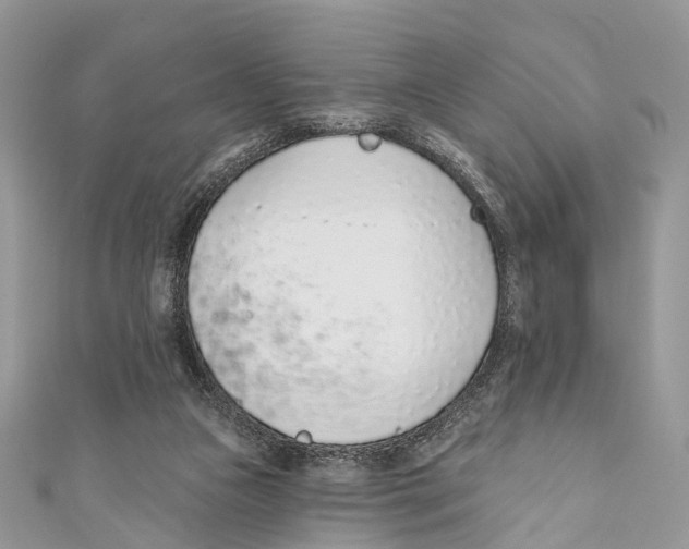X0000110980161200907171738