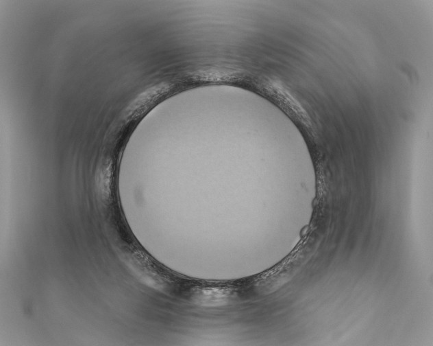 X0000110980163200907171738