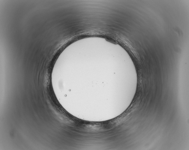 X0000110980164200907171738