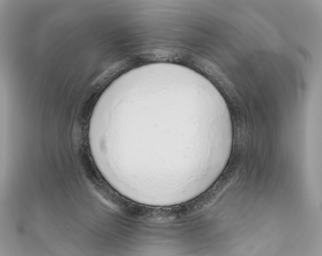 X0000110980165200907171738