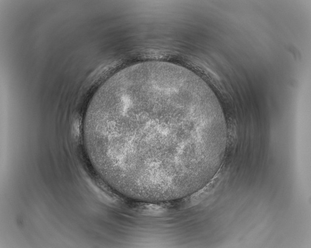 X0000110980166200907171738