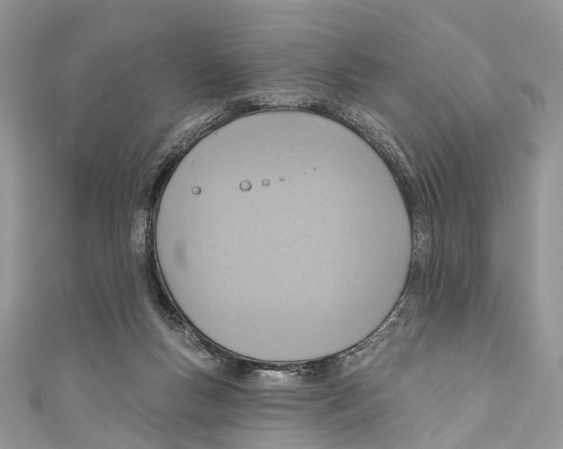 X0000110980167200907171738
