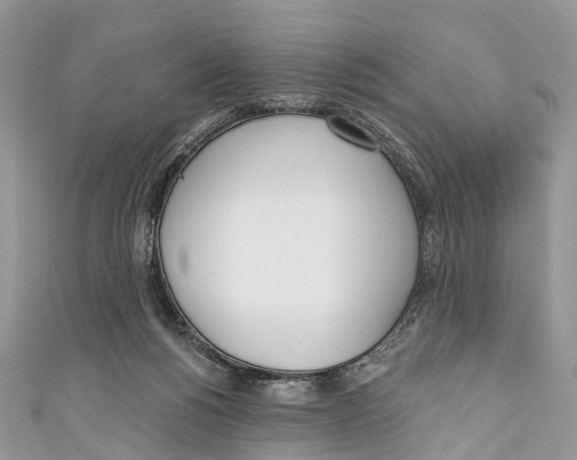 X0000110980168200907171739