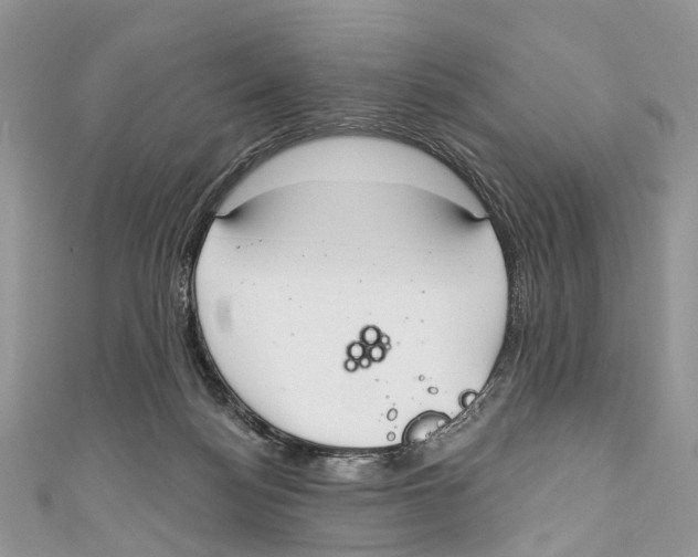 X0000110980172200907171739