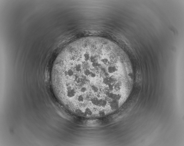 X0000110980173200907171739