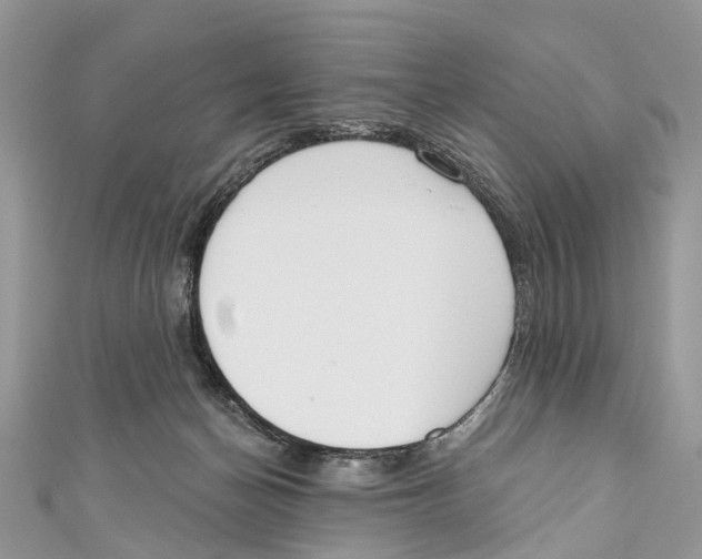 X0000110980174200907171739
