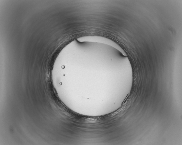 X0000110980176200907171739
