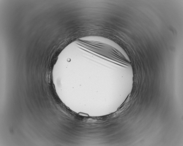 X0000110980180200907171739