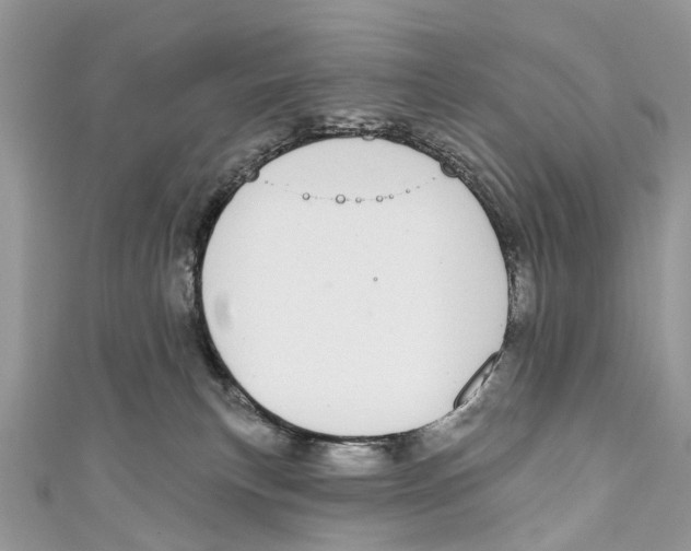 X0000110980183200907171739