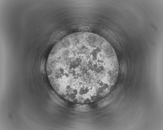 X0000110980185200907171739