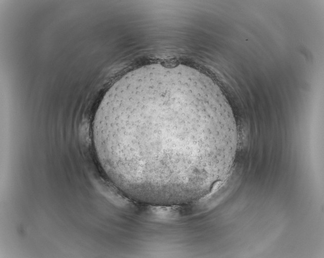 X0000110980187200907171739