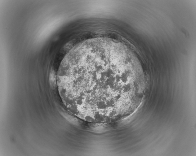 X0000110980191200907171739