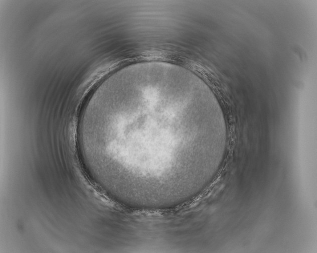 X0000110980194200907171738