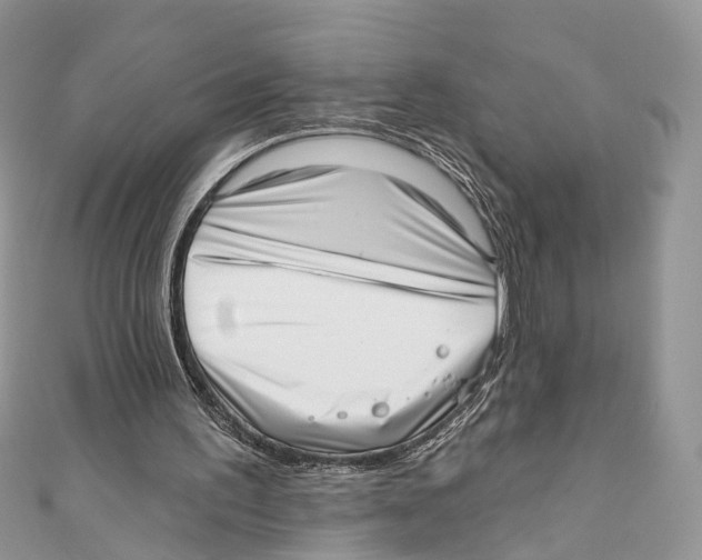 X0000110980195200907171738