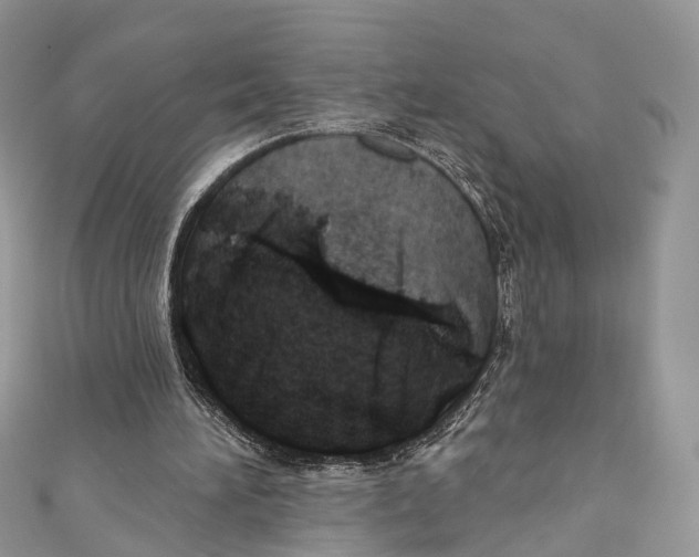 X0000110980196200907171738