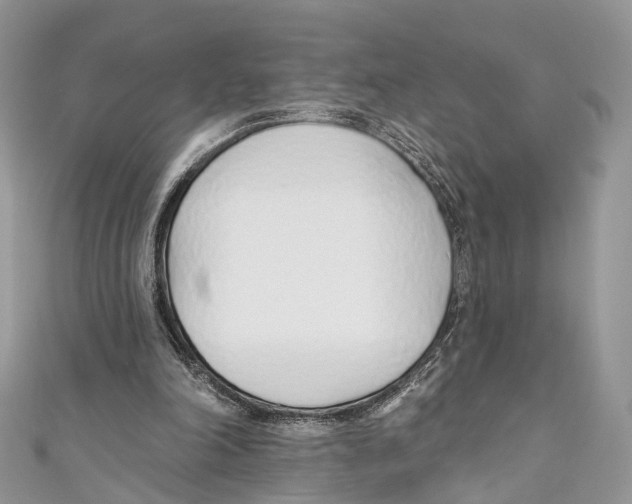X0000110980198200907171738