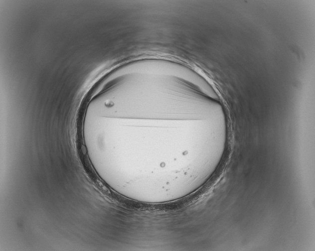 X0000110980199200907171738