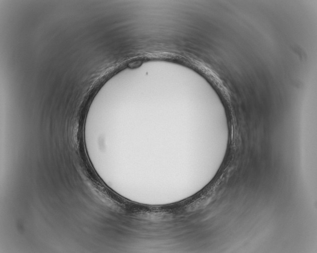 X0000110980201200907171738