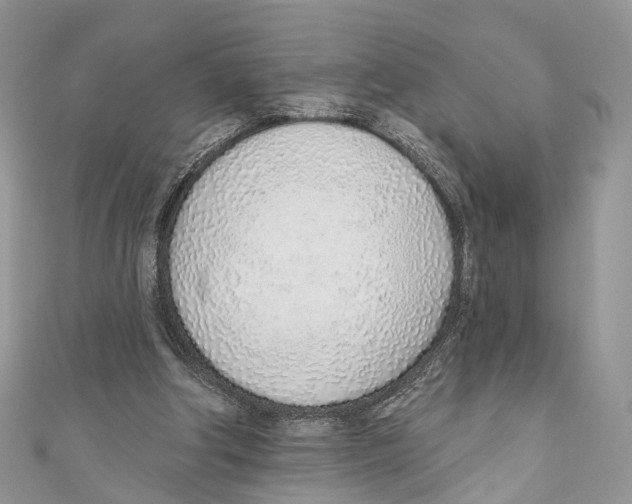 X0000110980202200907171738
