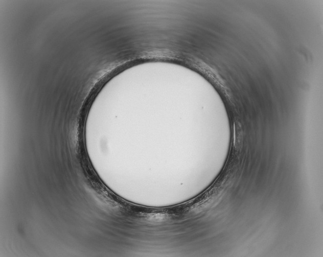 X0000110980204200907171738