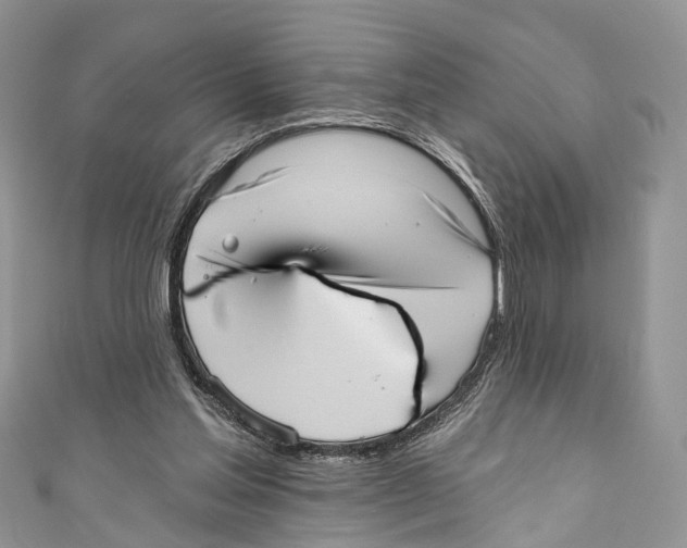 X0000110980205200907171738