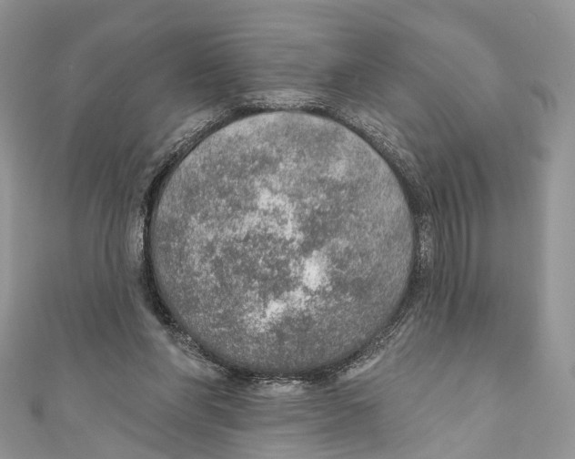 X0000110980206200907171738