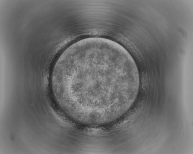 X0000110980208200907171738