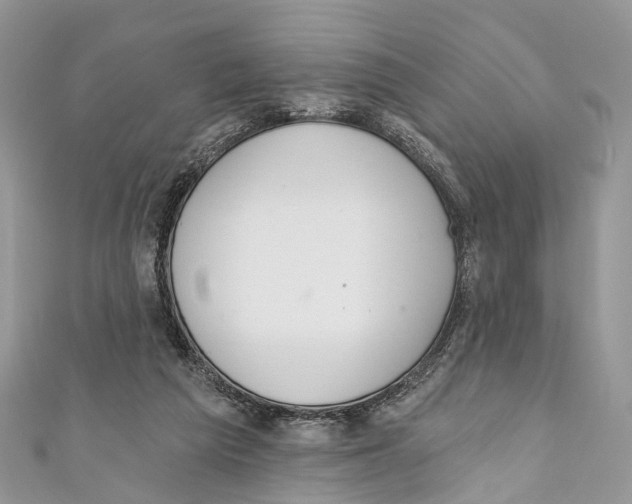 X0000110980209200907171738