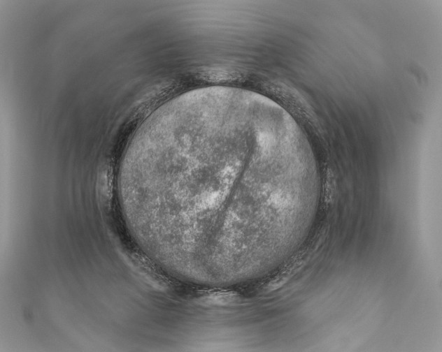 X0000110980210200907171738