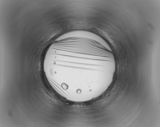 X0000110980211200907171738