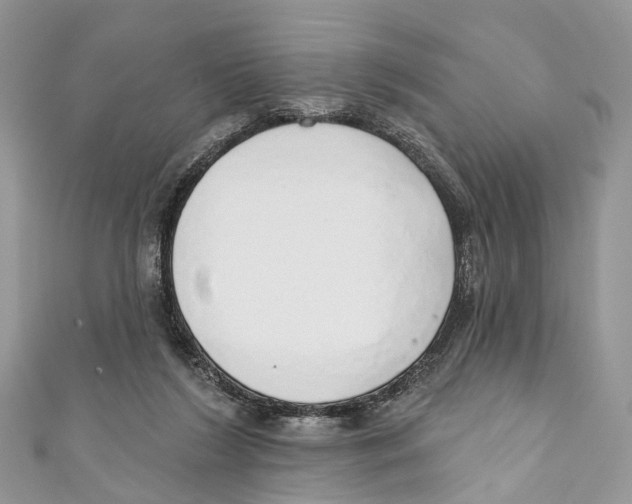 X0000110980212200907171738