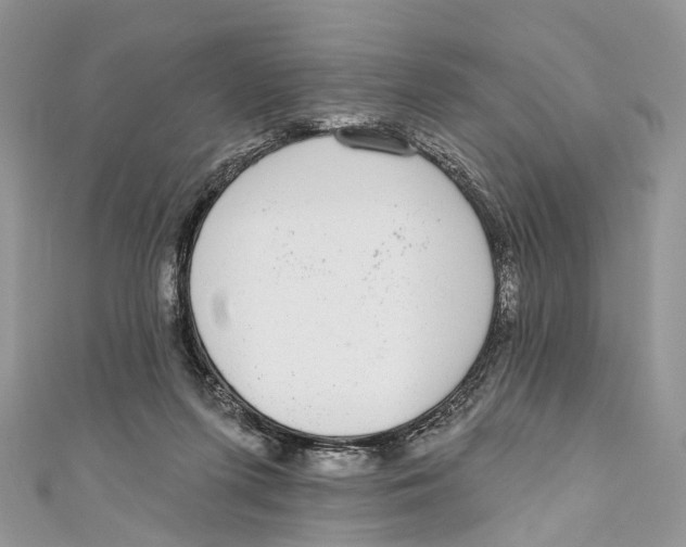 X0000110980215200907171738