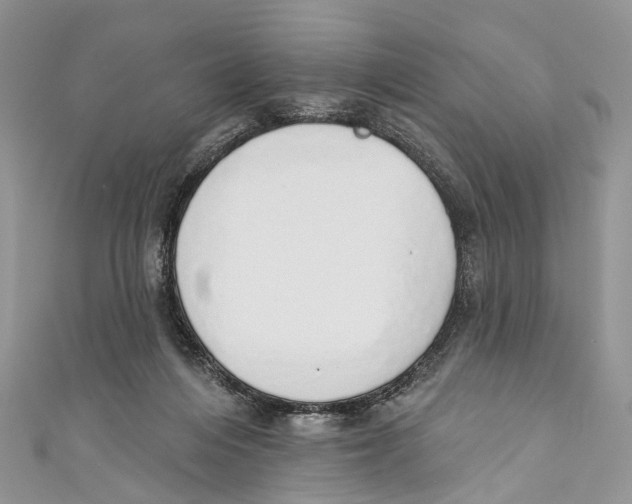 X0000110980216200907171738