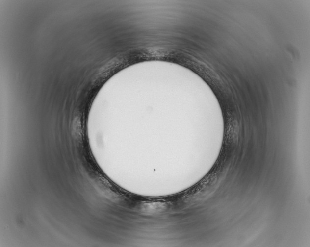 X0000110980220200907171738