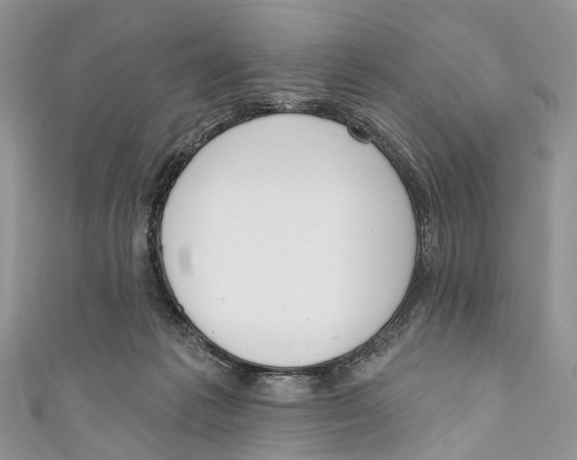 X0000110980221200907171738