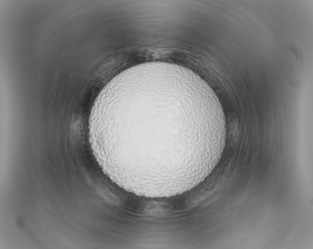 X0000110980222200907171738