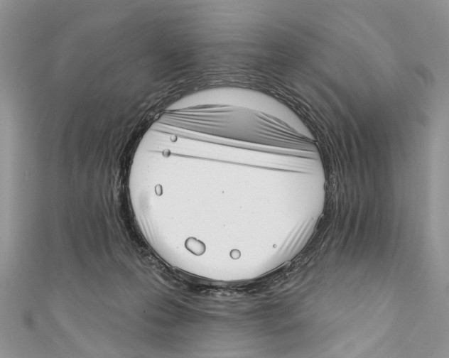 X0000110980223200907171738