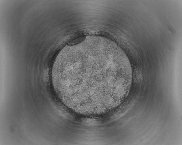 X0000110980224200907171738
