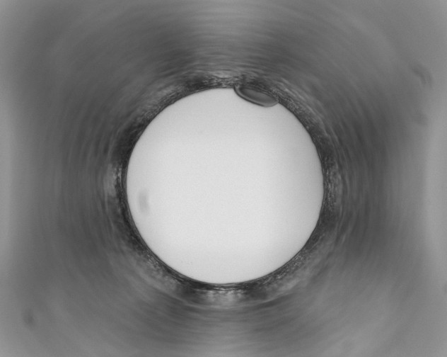 X0000110980225200907171738