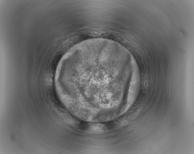 X0000110980226200907171738