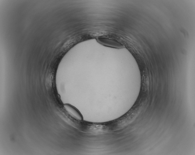X0000110980227200907171738