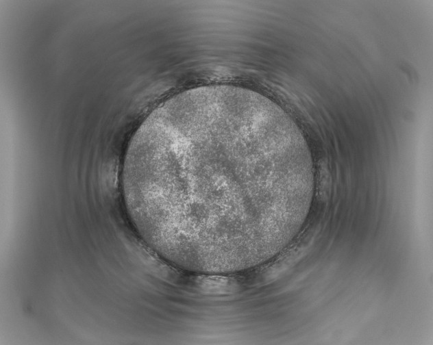X0000110980230200907171738