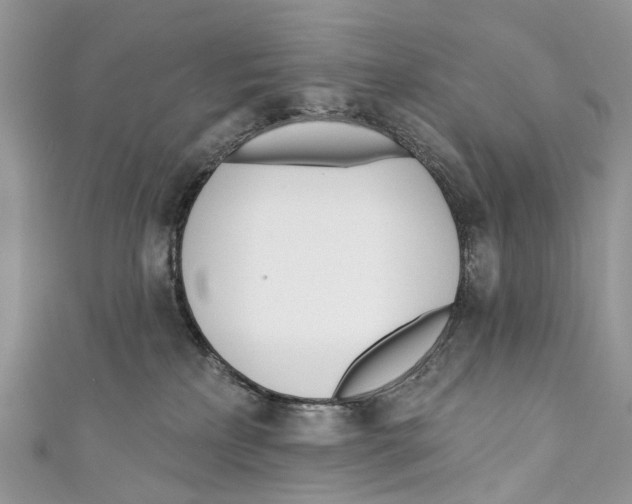 X0000110980233200907171738