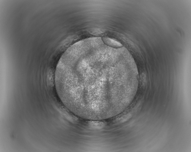 X0000110980234200907171738