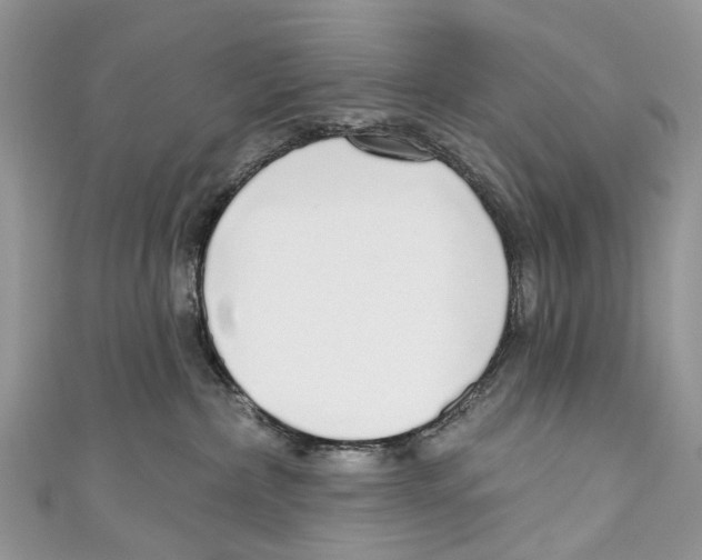 X0000110980236200907171738