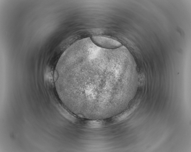 X0000110980238200907171738