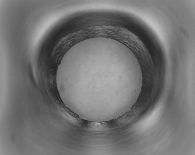 X0000110980239200907171738